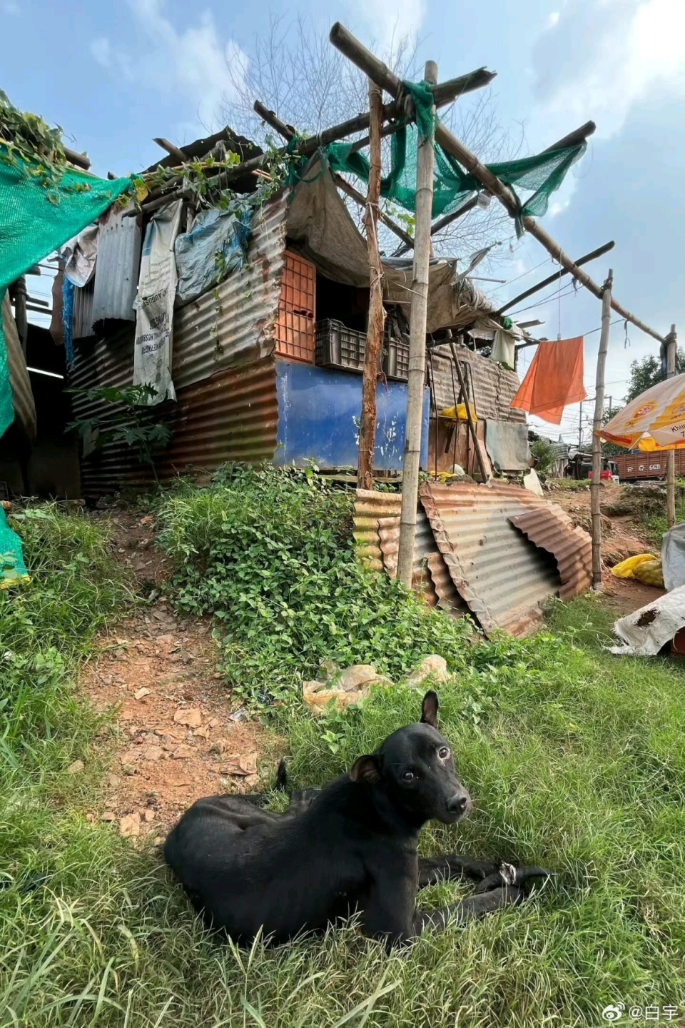 场馆以及接, gtimg, img